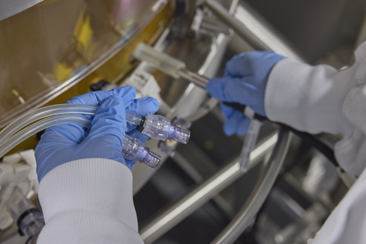 Mammalian Cell Culture and Analysis (Hands-on Course)