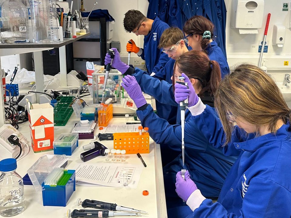 What does a week of Work Experience Training look like at RESILIENCE?