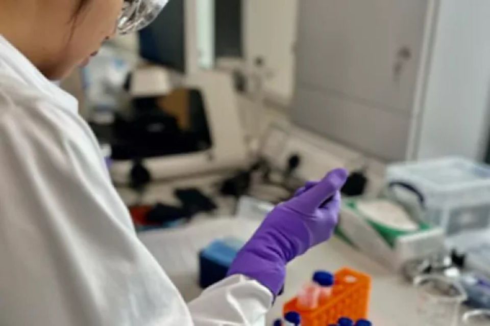 Cell Culture and Analysis (Hands-on Course)